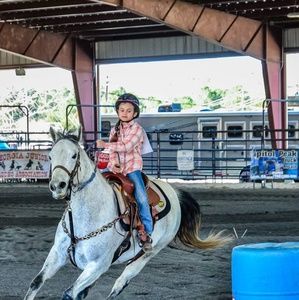 Meet your Posher, Sidney
